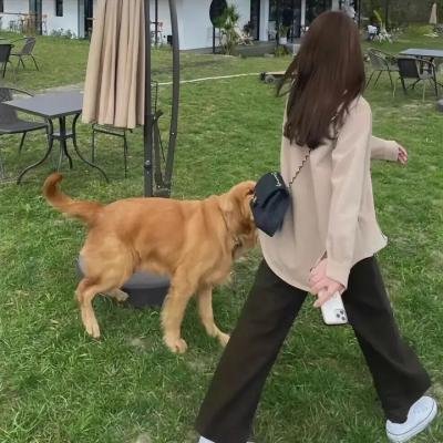 嘻哈四重奏第一季